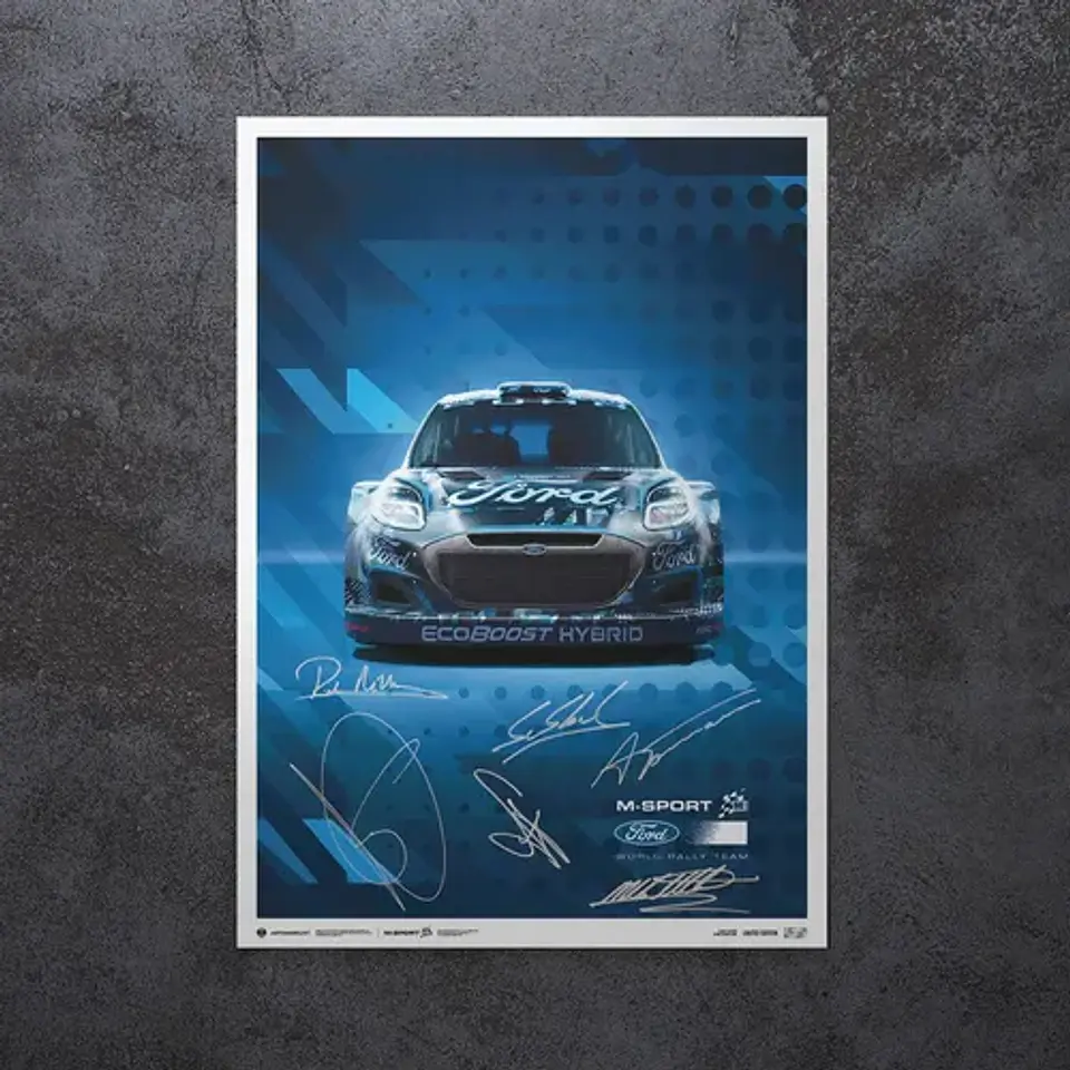 Cuadro Sébastien Loeb & Isabelle Galmiche  Ford Rally Dakar 1