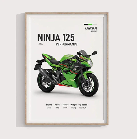 Cuadro Motos Kawasaki Ninja 125 Performance  + Marco Negro
