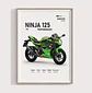 Cuadro Motos Kawasaki Ninja 125 Performance  + Marco Negro - Miniatura 1