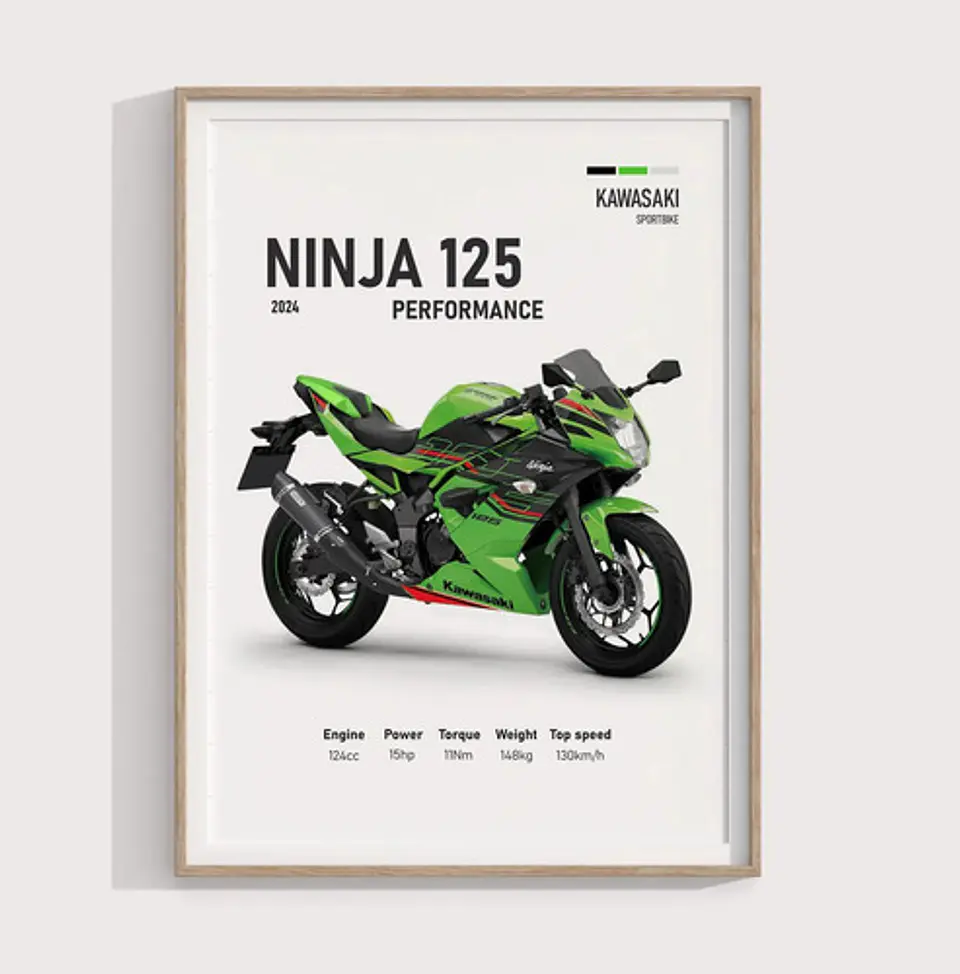 Cuadro Motos Kawasaki Ninja 125 Performance  + Marco Negro 1