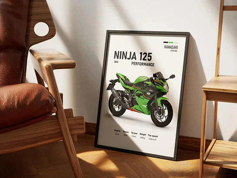 Cuadro Motos Kawasaki Ninja 125 Performance  + Marco Negro