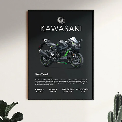 Cuadro Moto Kawasaki Ninja Zx-6r + Marco