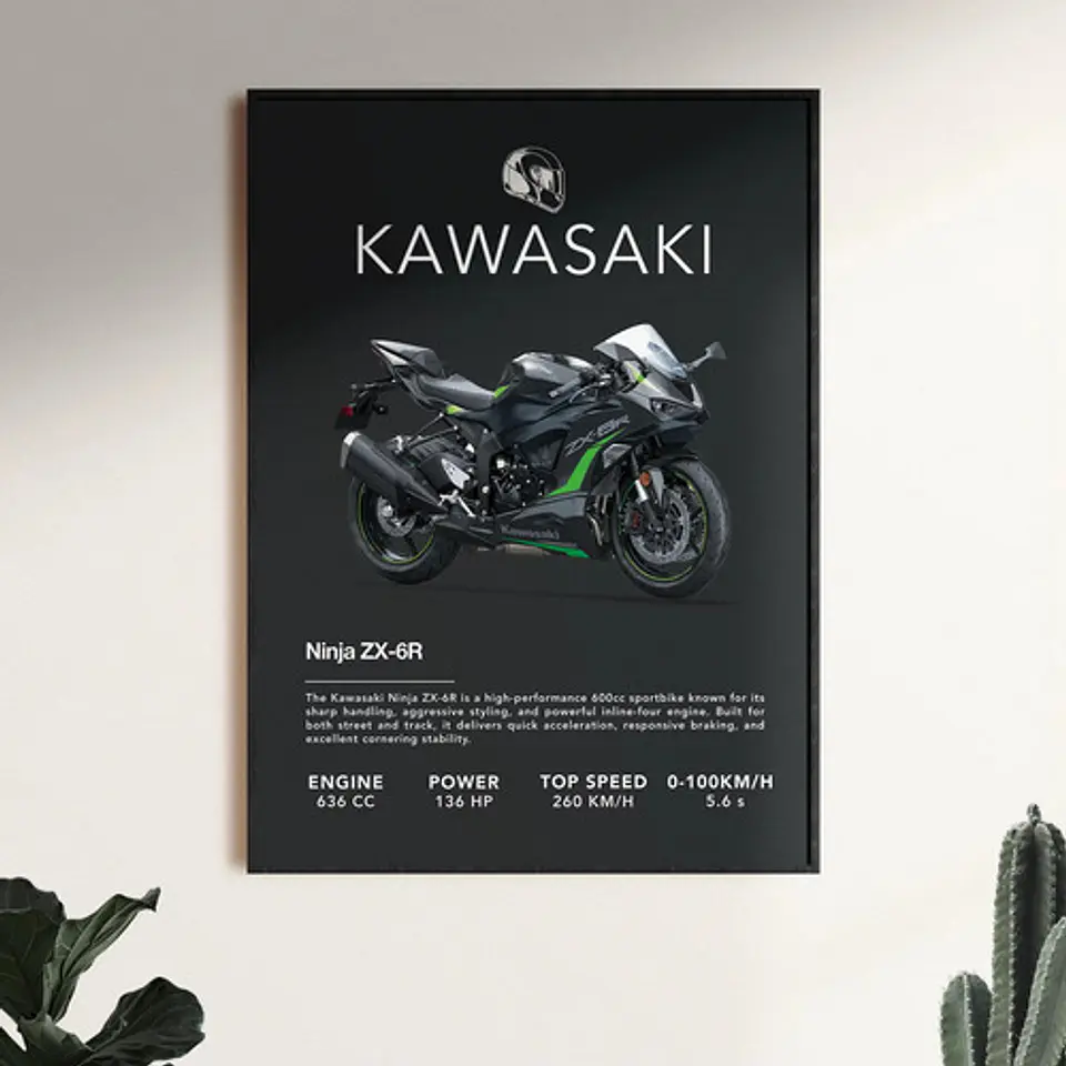 Cuadro Moto Kawasaki Ninja Zx-6r + Marco 1