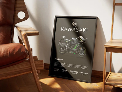 Cuadro Moto Kawasaki Ninja Zx-6r + Marco