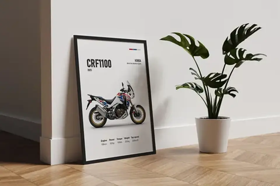 Cuadro Moto Honda Africa Twin Crf Deportivo + Marco 2