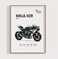 Cuadro Kawasaki Ninja H2r | Motociclismo Deportivo + Marco - Miniatura 3