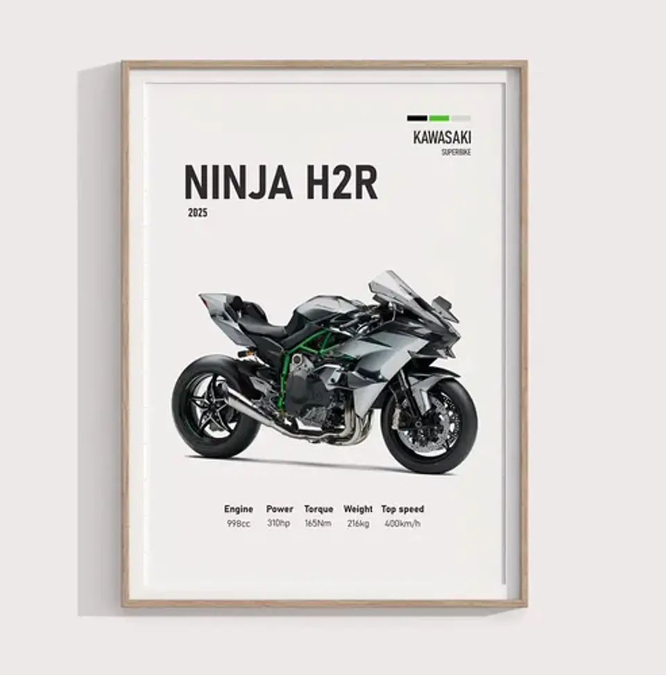 Cuadro Kawasaki Ninja H2r | Motociclismo Deportivo + Marco 3