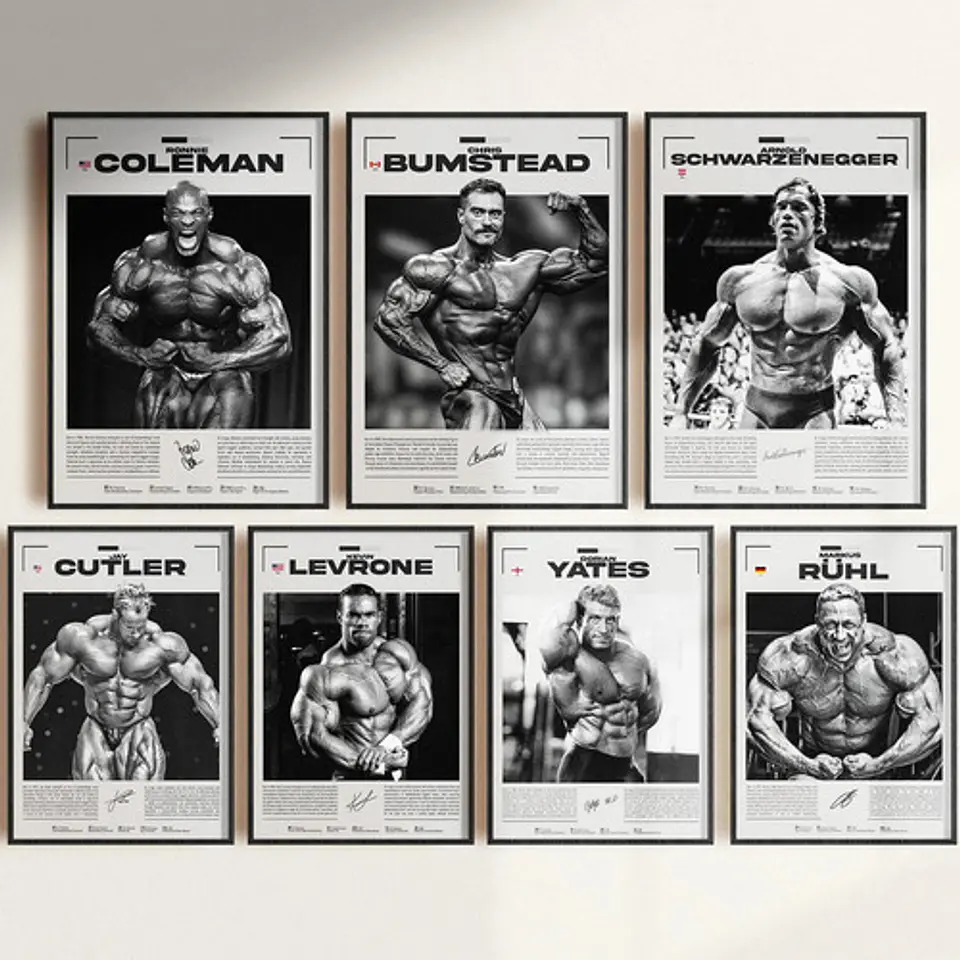 Cuadro Leyendas Mr. Olympia Bodybuilder Fisicoculturismo Gym 1