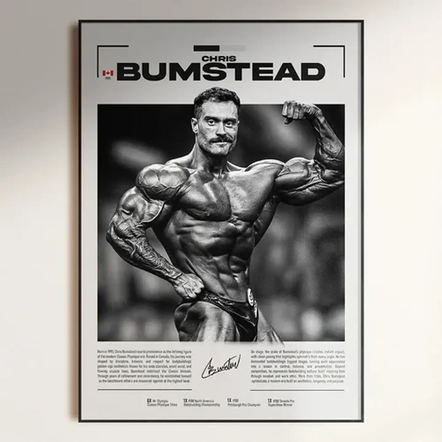 Cuadro Leyendas Mr. Olympia Bodybuilder Fisicoculturismo Gym 3
