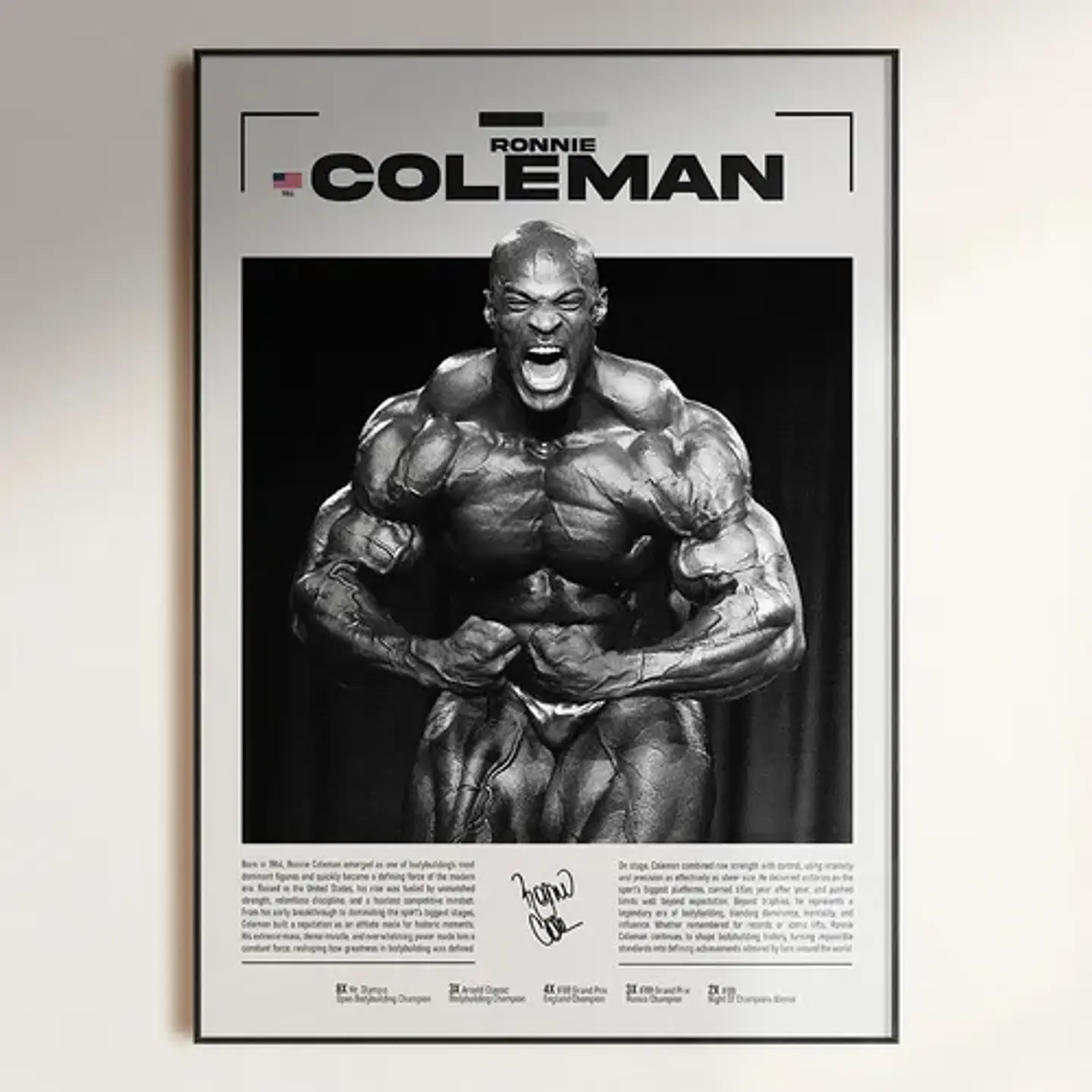 Cuadro Leyendas Mr. Olympia Bodybuilder Fisicoculturismo Gym 4