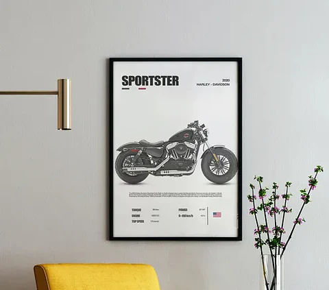 Cuadro Moto Harley Davidson Sportster + Marco