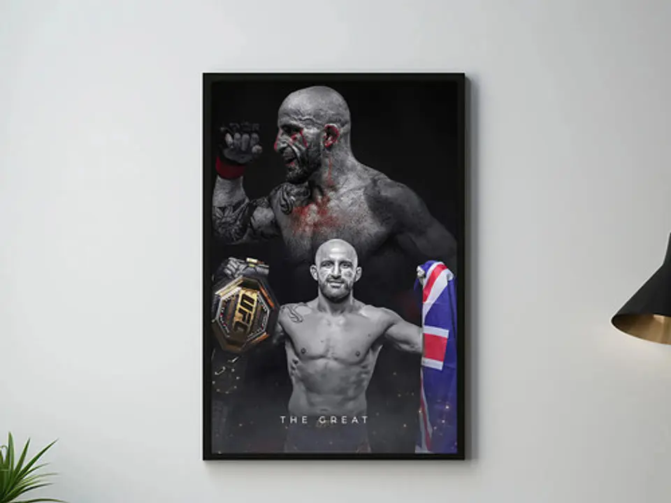 Cuadro Historicos Peleadores Leyendas Ufc Mma Jiu Jitsu 2