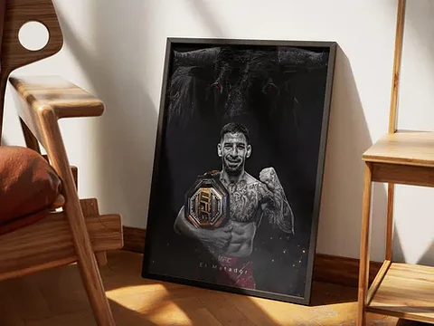 Cuadro Historicos Peleadores Leyendas Ufc Mma Jiu Jitsu