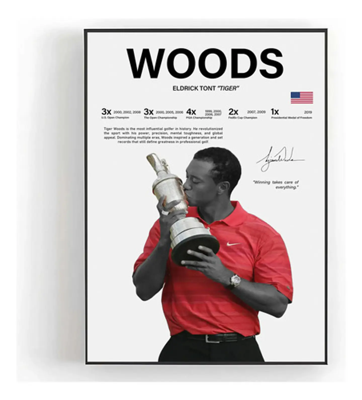 Cuadro Tiger Woods El Tigre Golf + Marco 1