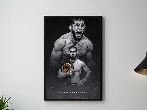 Cuadro Historicos Peleadores Leyendas Ufc Mma Jiu Jitsu