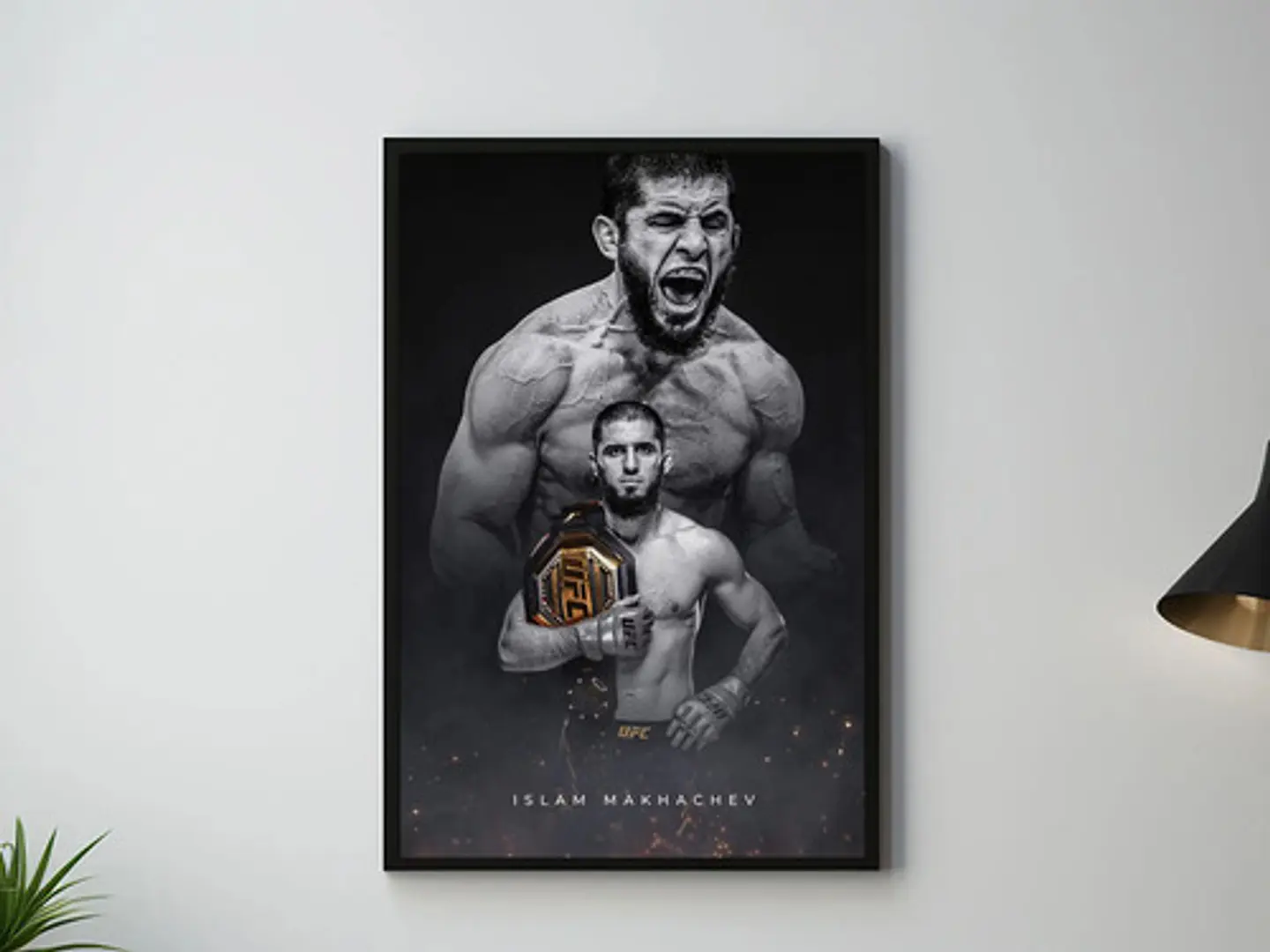 Cuadro Historicos Peleadores Leyendas Ufc Mma Jiu Jitsu 1