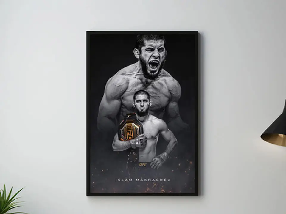 Cuadro Historicos Peleadores Leyendas Ufc Mma Jiu Jitsu 1