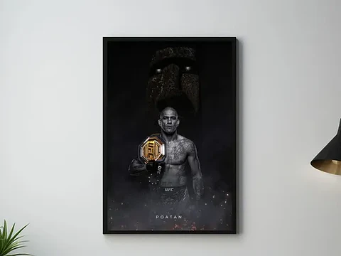 Cuadro Historicos Peleadores Leyendas Ufc Mma Jiu Jitsu