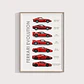 Cuadro Evolución De Ferrari Superdeportivos + Marco Negro - Miniatura 2