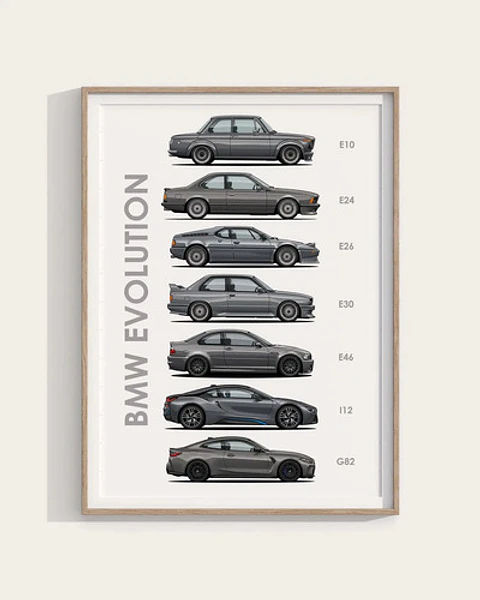 Cuadro Evolución Bmw + Marco