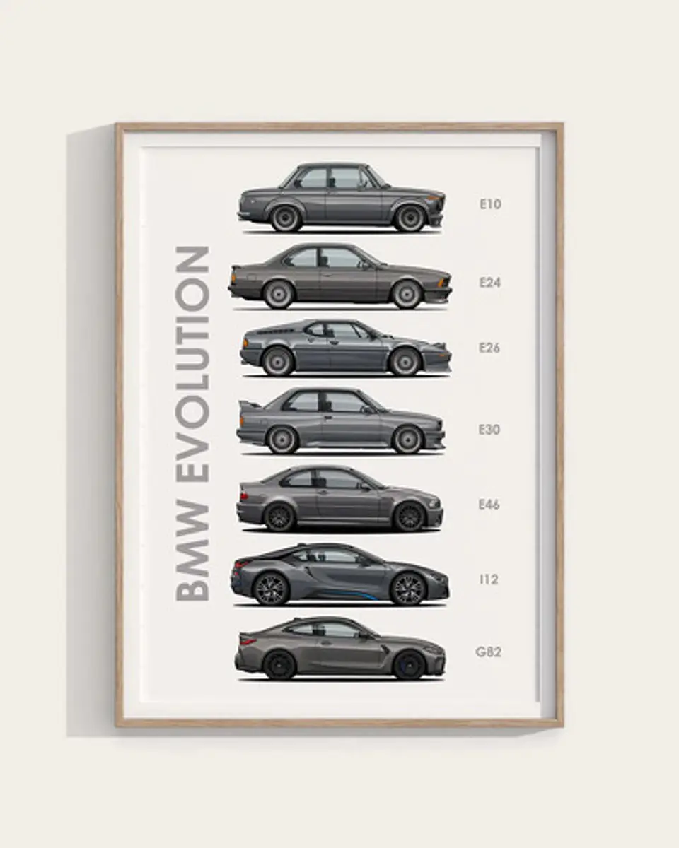 Cuadro Evolución Bmw + Marco 1