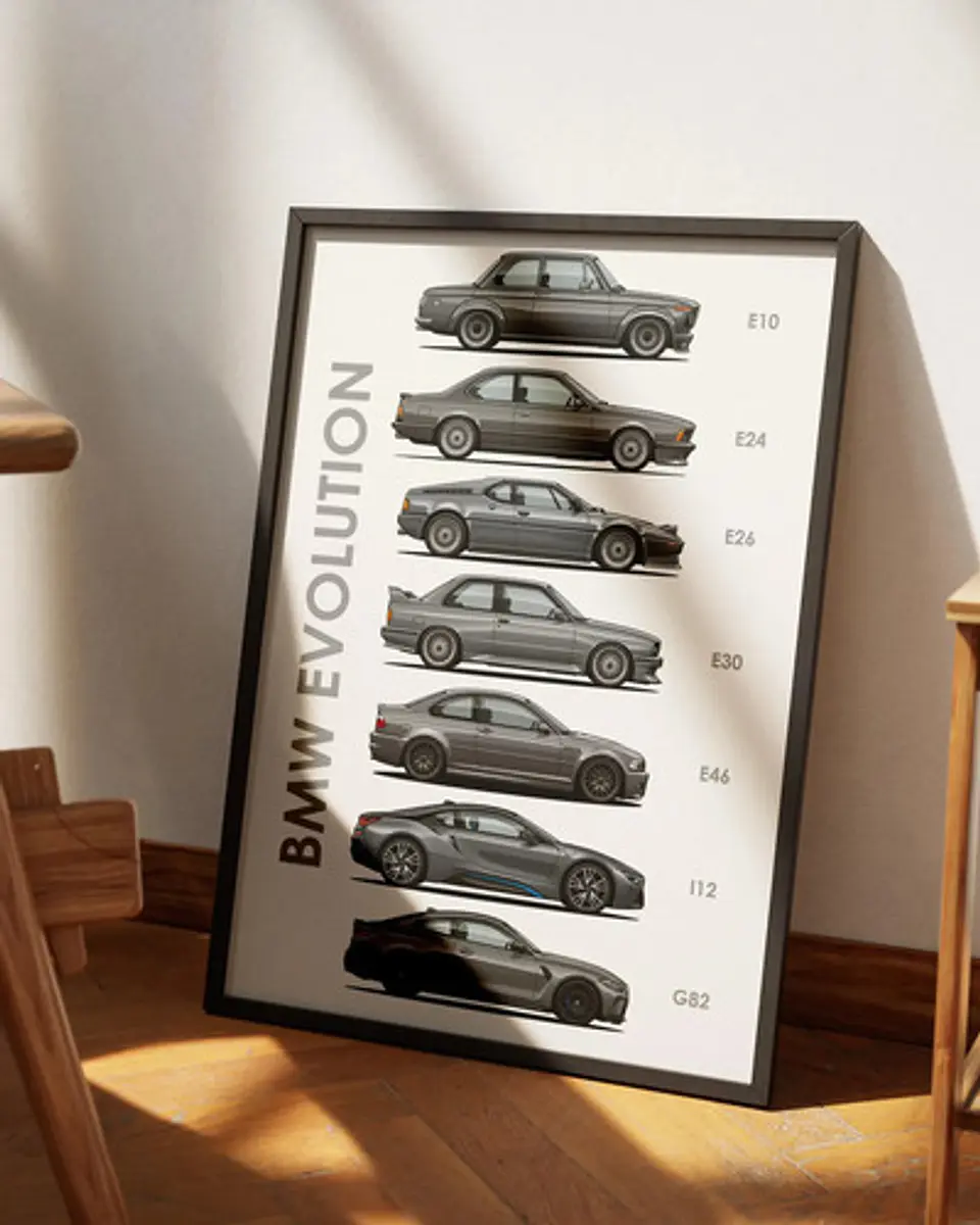 Cuadro Evolución Bmw + Marco 3