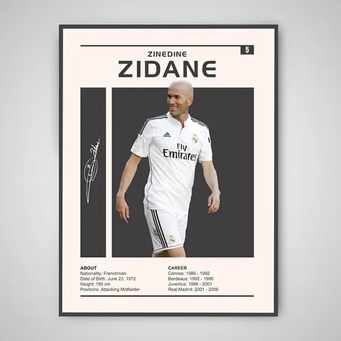 Cuadro Zinedine Zidane Leyenda Del Fútbol Mundial + Marco