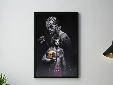 Cuadro Historicos Peleadores Leyendas Ufc Mma Jiu Jitsu