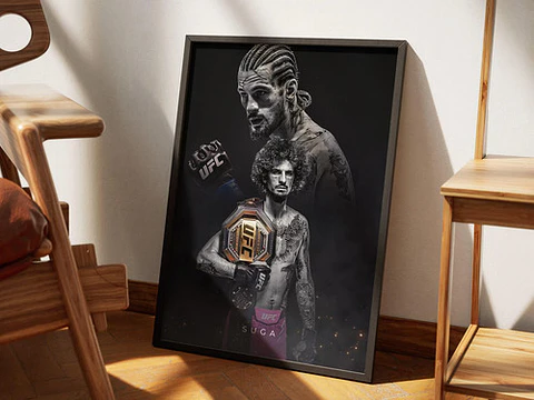 Cuadro Historicos Peleadores Leyendas Ufc Mma Jiu Jitsu