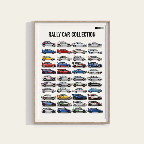 Cuadro Colección De Autos De Rally + Marco