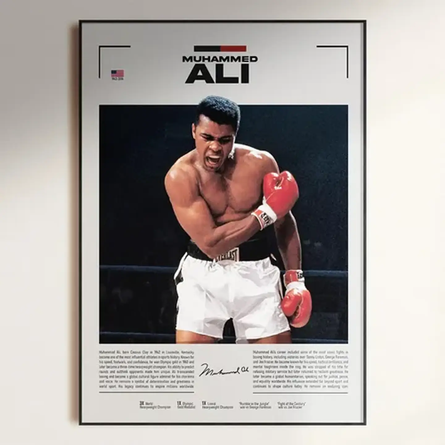 Cuadros Leyendas Boxeo Tyson, Ali, Pacquiao, Mayweather,usyk 1