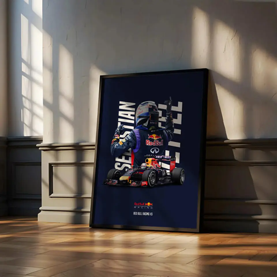 Cuadro Fórmula 1 Sebastian Vettel Red Bull Racing F1 Campeón 2