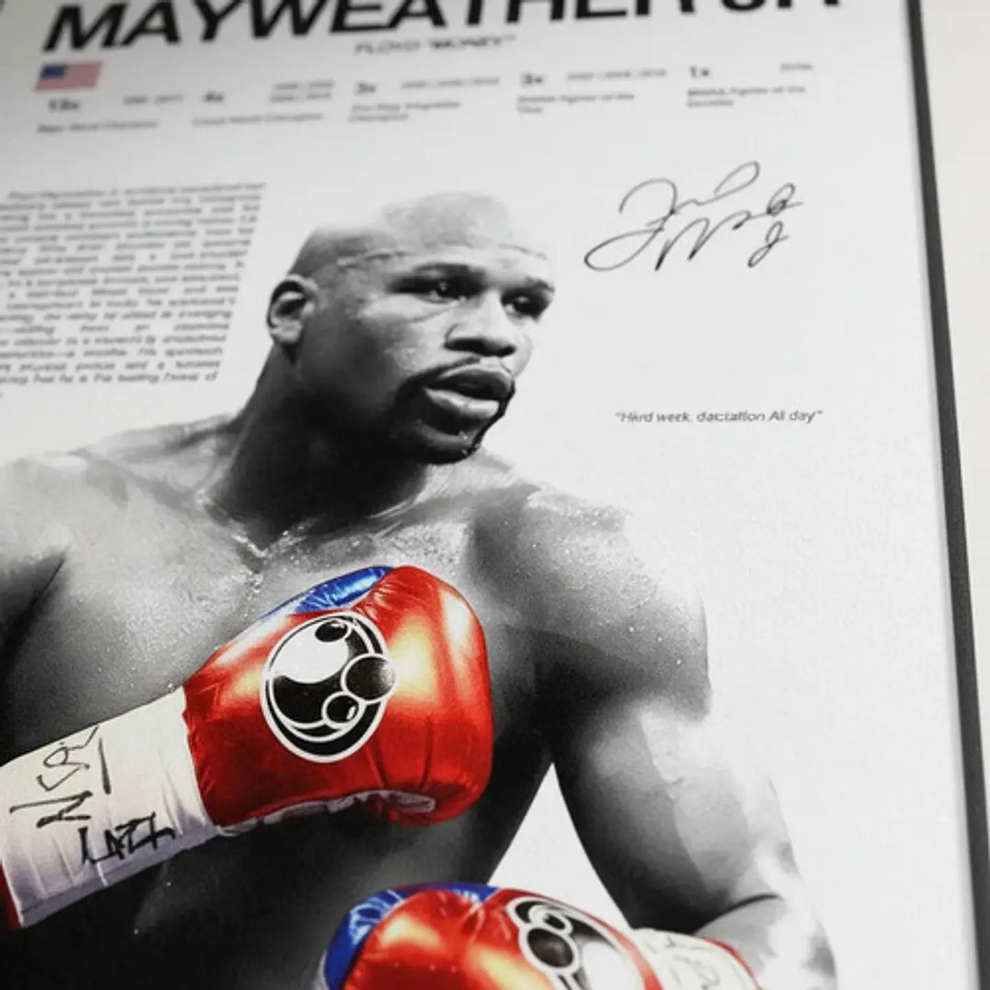 Cuadro Boxeo Floyd Mayweather Jr Money Campeón Invicto 2