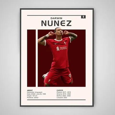 Cuadro Fútbol Darwin Núñez Uruguay Liverpool Delantero