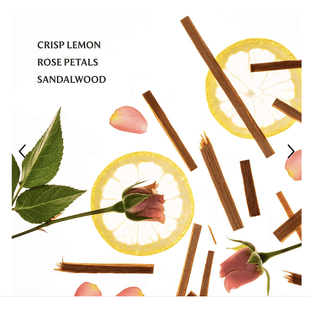 Touchland Blue Sandalwood