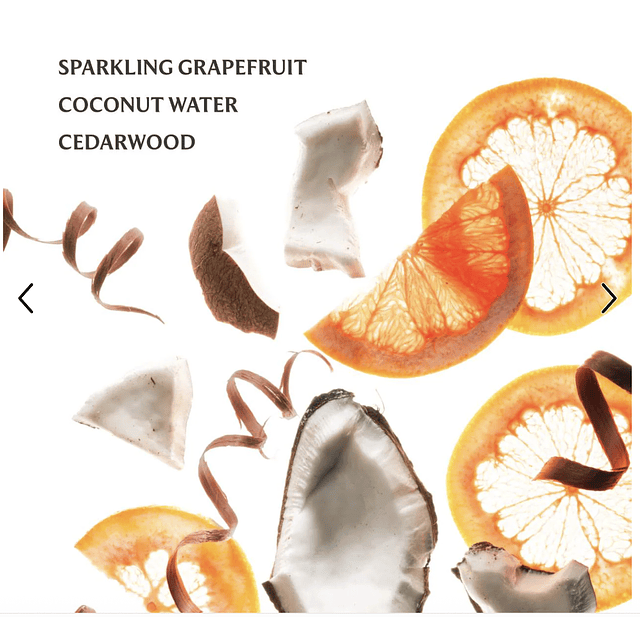 Touchland Beach Coco