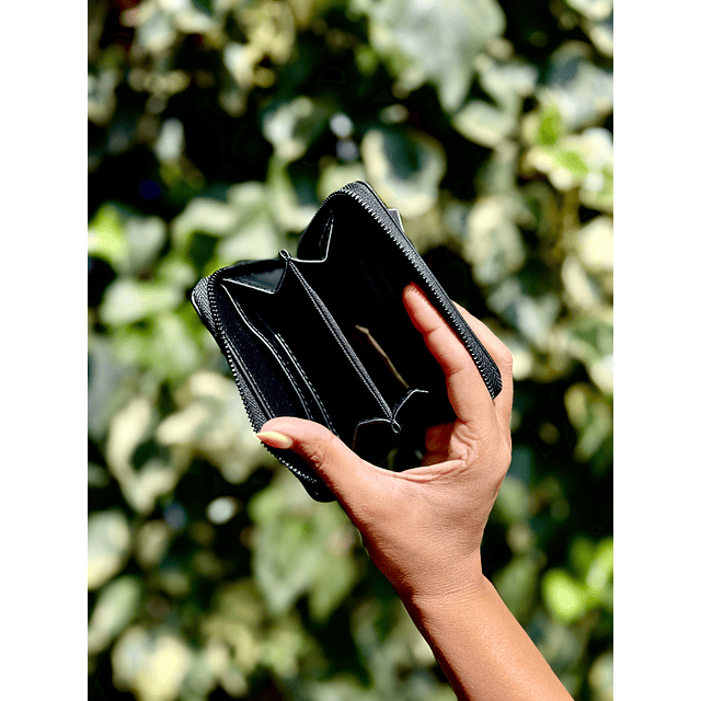 Billetera Pequeña Steve Madden