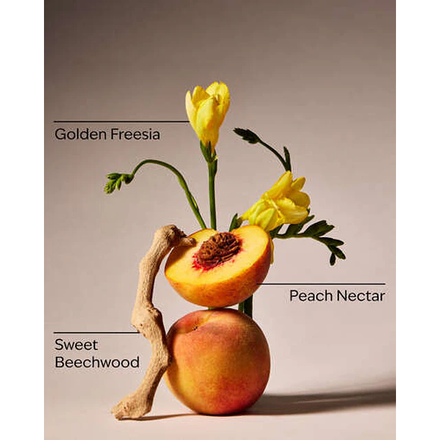 Alcohol Gel Vera Bradley x Bath and Body Works