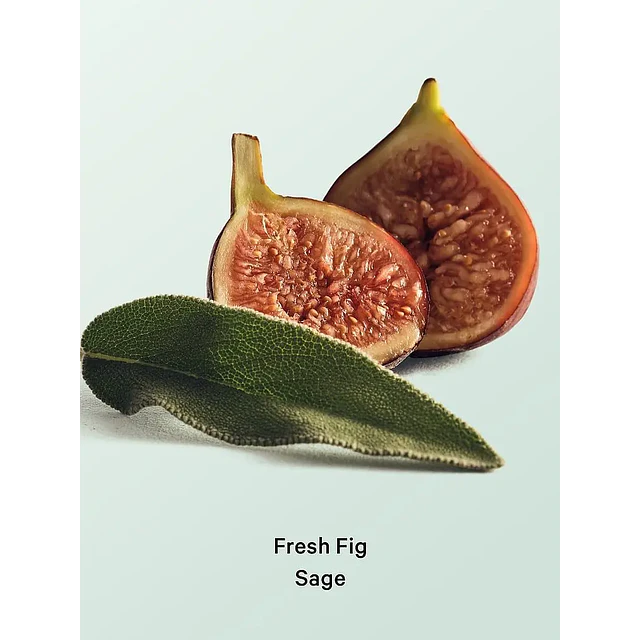 Loción Corporal Fresh Fig Sage Victoria Secret