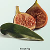 Loción Corporal Fresh Fig Sage Victoria Secret