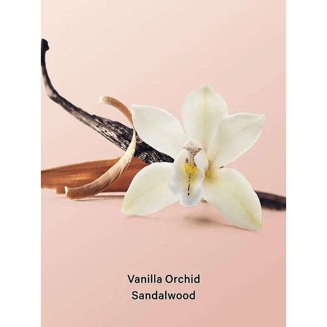 Loción Corporal Vanilla Orchid Sandalwood