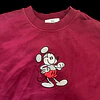 Poleron Disney Parks