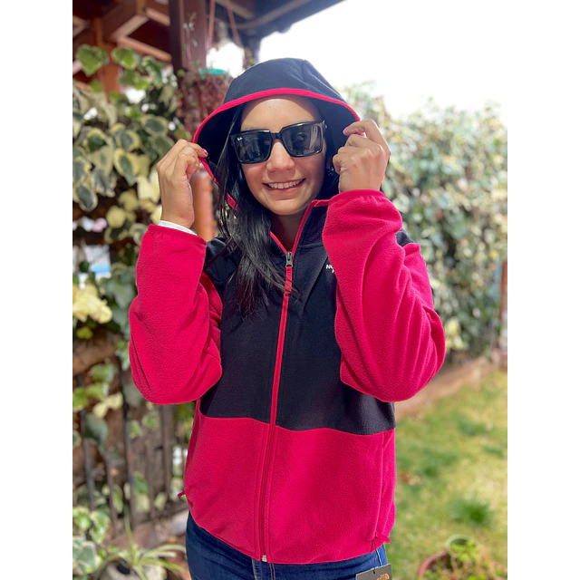 Micropolar The North Face Full Zip