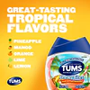 Antiácidos Tums Chewy Bites 