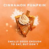 Jabon de Manos Dove Cinnamon Pumpkin Pie