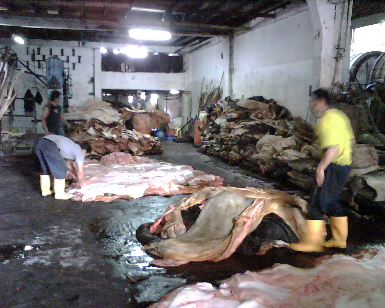How leather is slowly killing people and the places where it is made