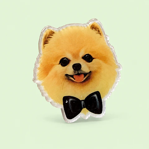 Pin de Acrílico Perrito Pomerania