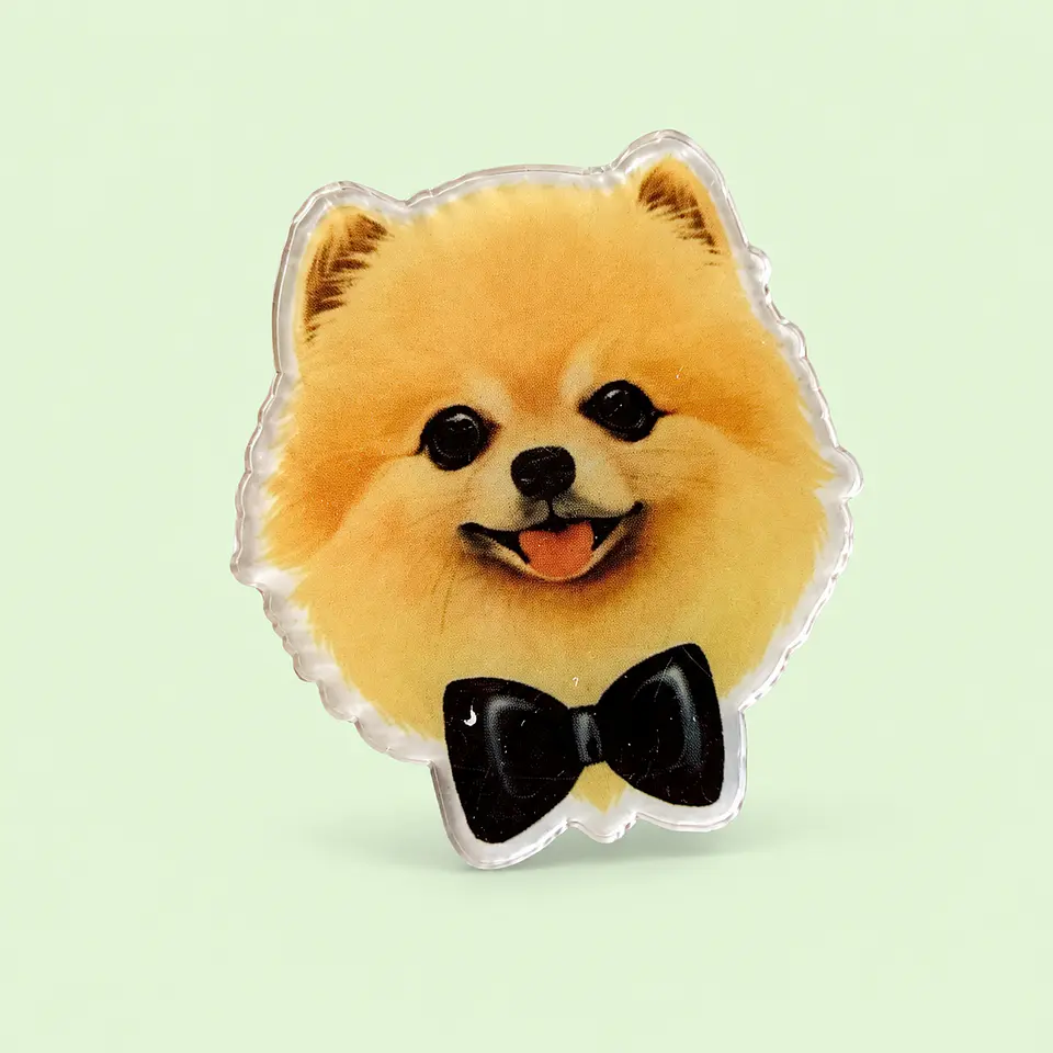 Pin de Acrílico Perrito Pomerania 1