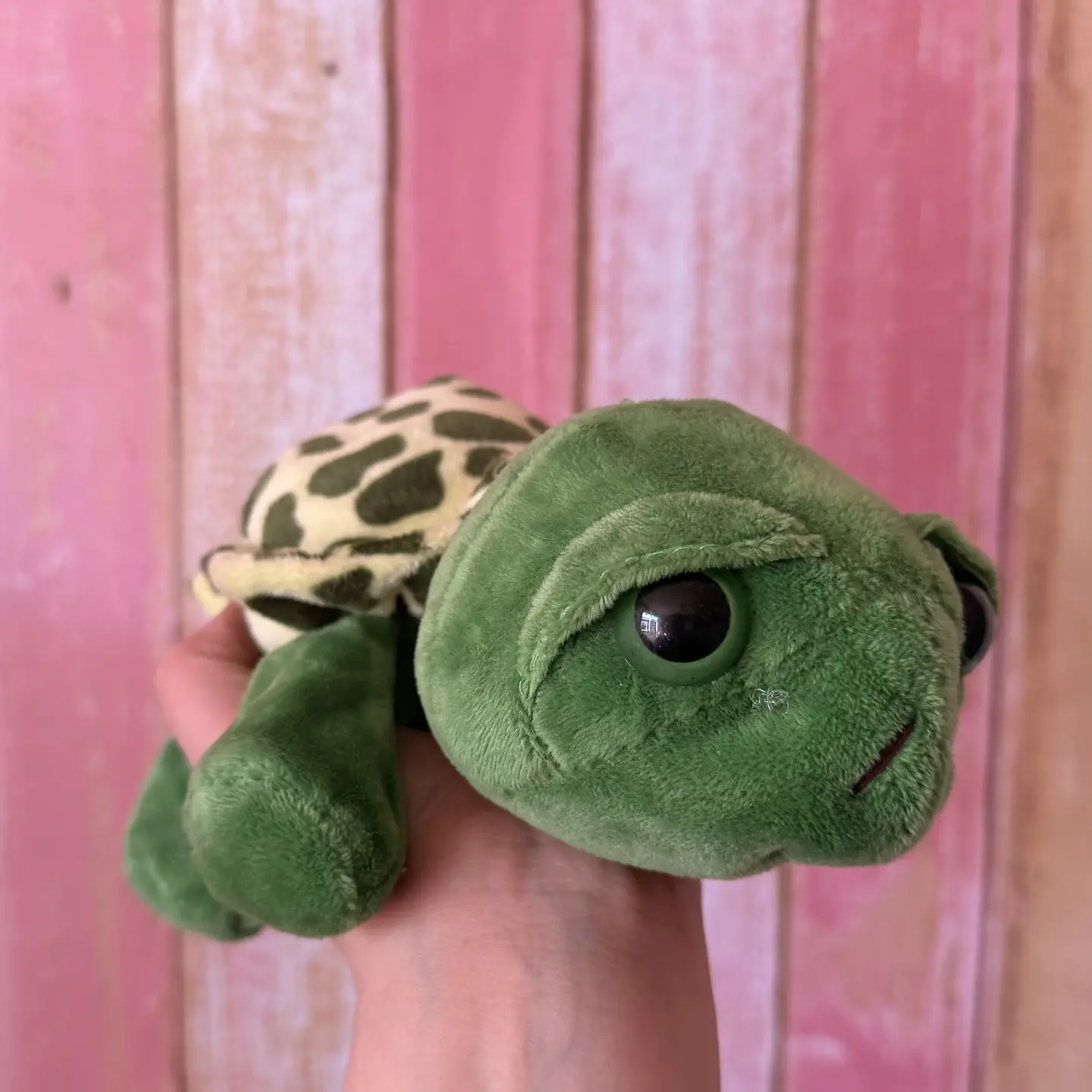 Peluche Tortuga – 25 cm 1