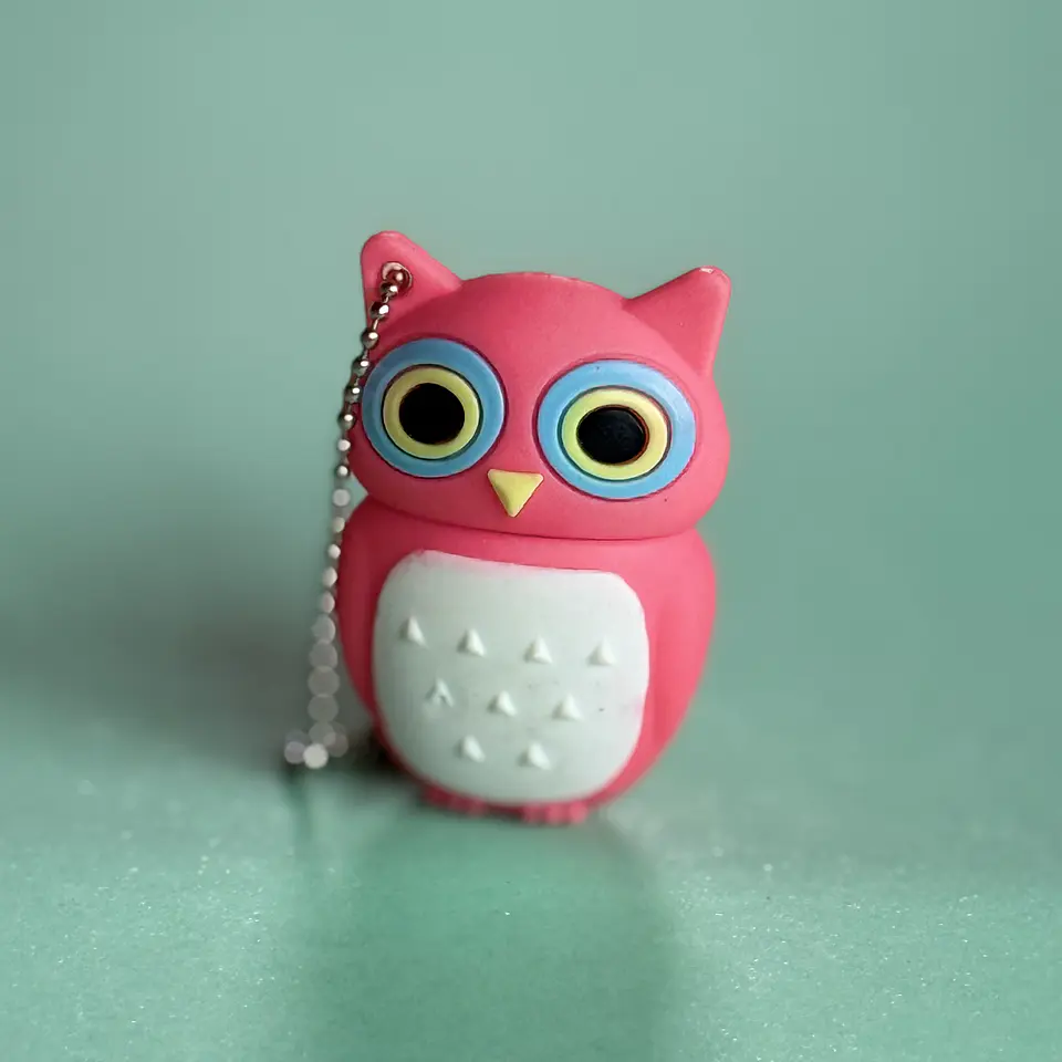 Pendrive Búho Kawaii | 32 GB  3